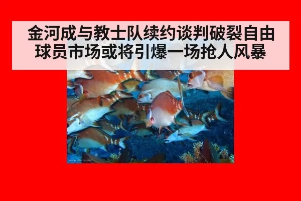金河成与教士队续约谈判破裂自由球员市场或将引爆一场抢人风暴