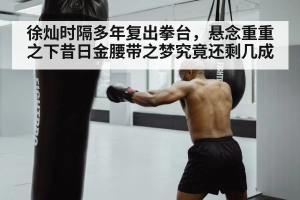 徐灿时隔多年复出拳台,悬念重重之下昔日金腰带之梦究竟还剩几成